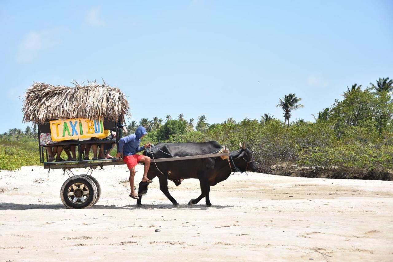 Pousada Velho Bateau アチンス エクステリア 写真